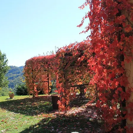 Il Biroccio Urbino