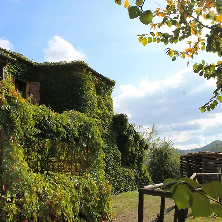 伊尔毕若裘乡村民宿 乡村民宿 乌尔比诺