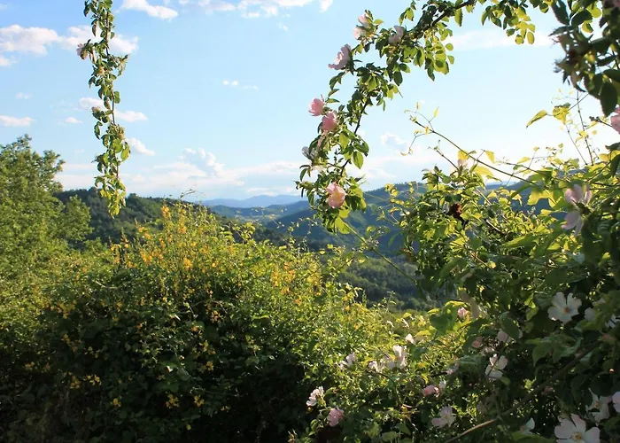 伊尔毕若裘乡村民宿
