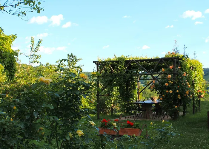 伊尔毕若裘乡村民宿 乡村民宿