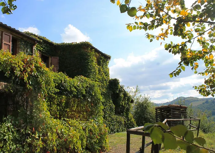 伊尔毕若裘乡村民宿 乡村民宿 乌尔比诺