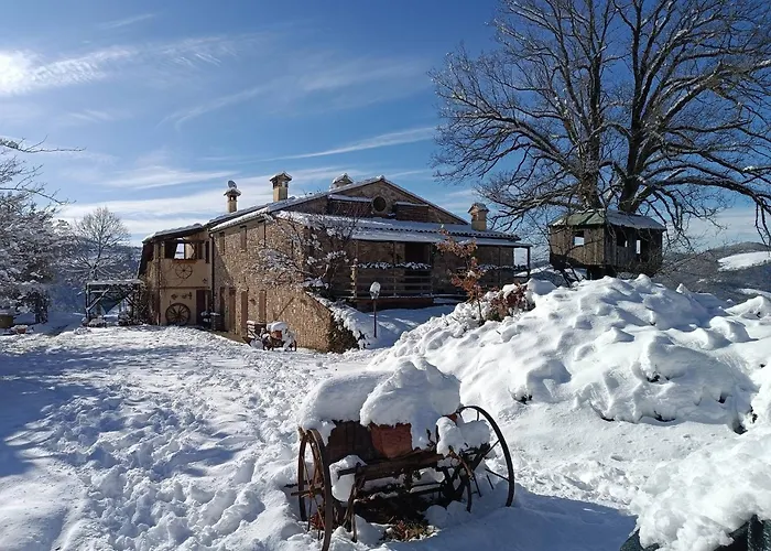 伊尔毕若裘乡村民宿 * 乌尔比诺